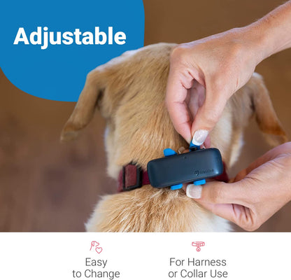 Tractive GPS Dog Tracker Rubber Clips X3 (Standard), Blue, 2.8 Cm