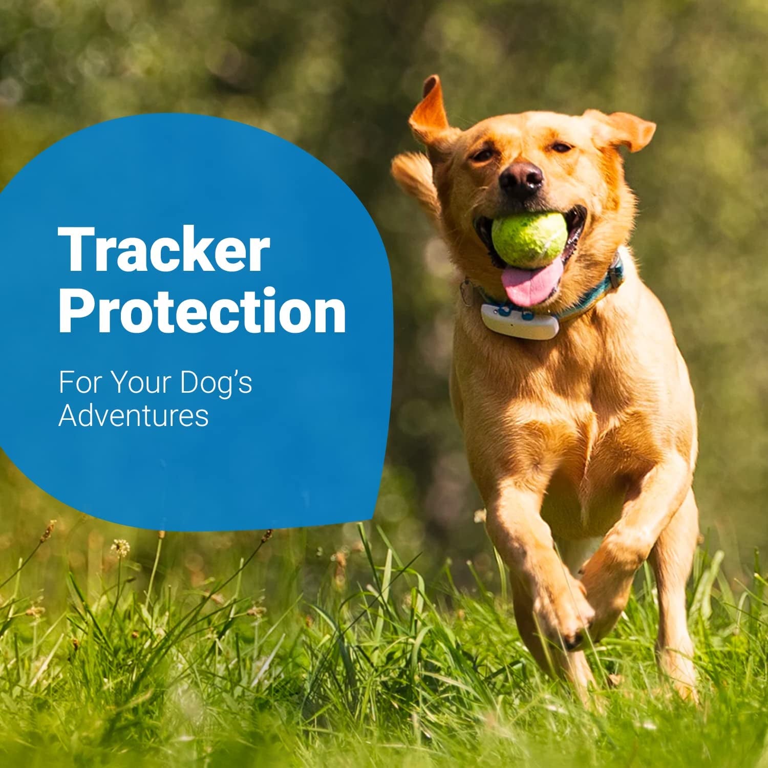 Tractive GPS Dog Tracker Rubber Clips X3 (Standard), Blue, 2.8 Cm
