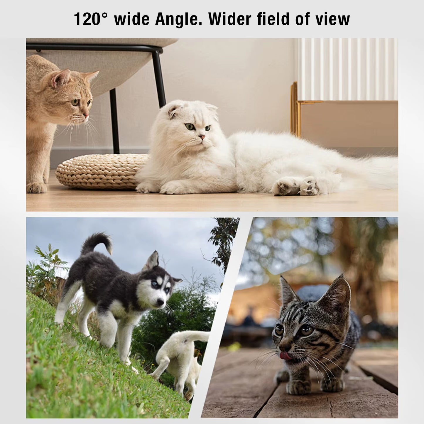 Pet Collar Camera Pet Collar Camera 120 Deg Lens OTG Connection Video Recording Adjustable Magnetic Cat Sport Camera for Outdoor